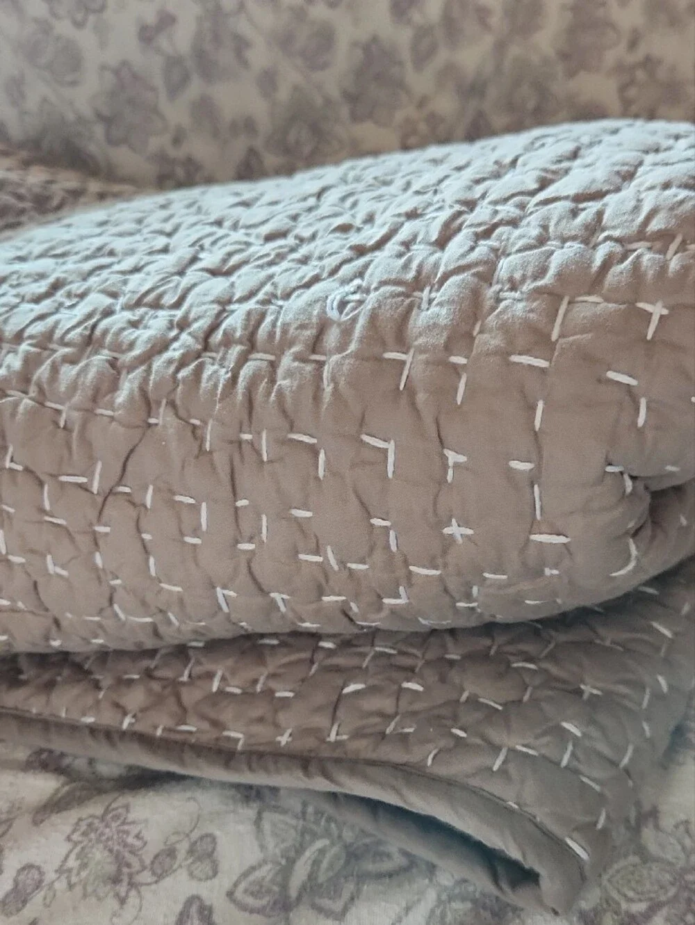 Quince organic cotton